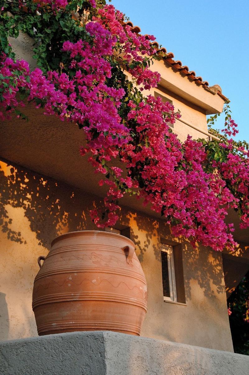 Paradise Island Villas Hersonissos  Esterno foto